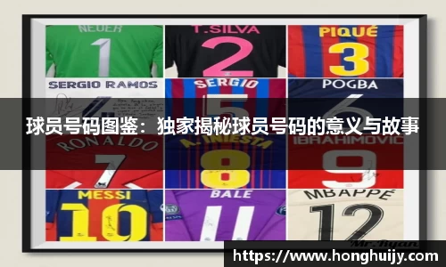 球员号码图鉴：独家揭秘球员号码的意义与故事